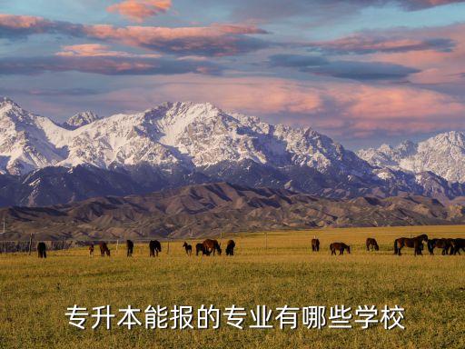 2018年吉林專升本高校名單,吉林專升本2018年英語(yǔ)真題