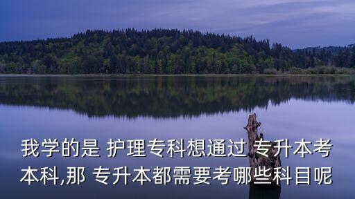 我學(xué)的是 護理?？葡胪ㄟ^ 專升本考本科,那 專升本都需要考哪些科目呢