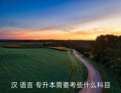 漢 語(yǔ)言 專(zhuān)升本需要考些什么科目