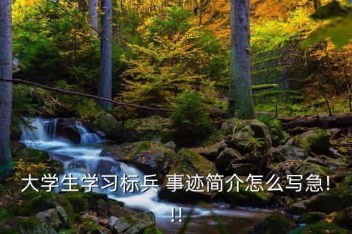 大學(xué)生學(xué)習(xí)標(biāo)兵 事跡簡(jiǎn)介怎么寫(xiě)急!!!