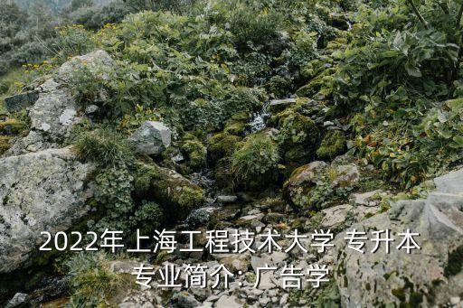 2022年上海工程技術大學 專升本專業(yè)簡介: 廣告學