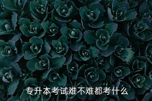  專(zhuān)升本考試難不難都考什么
