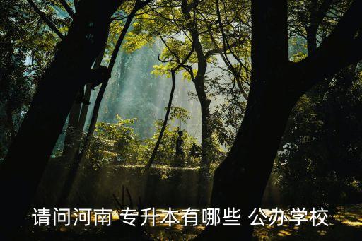 請(qǐng)問河南 專升本有哪些 公辦學(xué)校