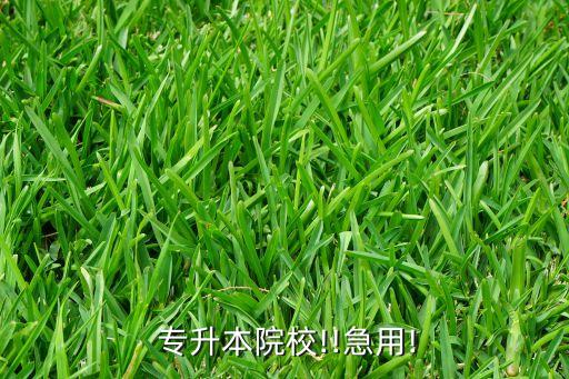 湖南藝術(shù)職業(yè)學(xué)院會(huì)專升本嗎