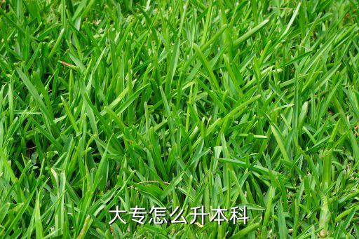 大專怎么升本科