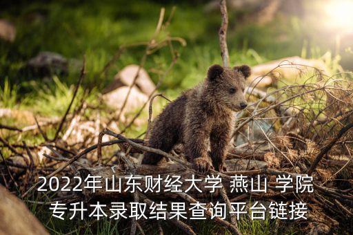 2022年山東財經(jīng)大學(xué) 燕山 學(xué)院 專升本錄取結(jié)果查詢平臺鏈接