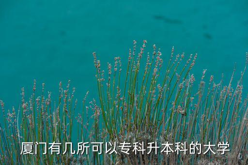 福建廈門(mén)有哪些可以專(zhuān)升本,廈門(mén)專(zhuān)升本培訓(xùn)機(jī)構(gòu)有哪些