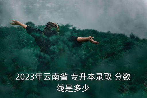 2023年云南省 專升本錄取 分數(shù)線是多少