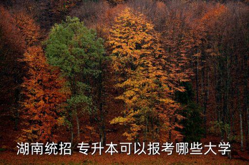 湖南統(tǒng)招 專升本可以報考哪些大學(xué)