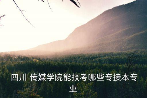  四川 傳媒學(xué)院能報(bào)考哪些專(zhuān)接本專(zhuān)業(yè)