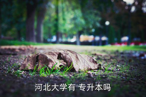 2017保定專升本招生時間