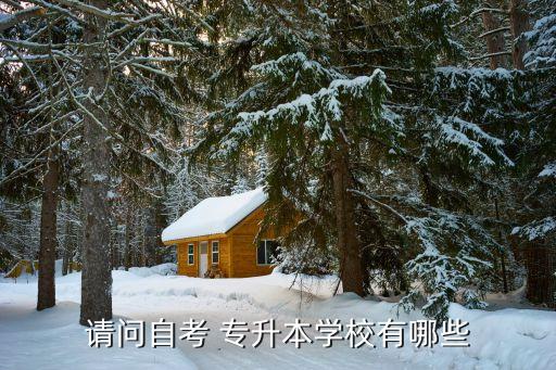 請(qǐng)問(wèn)自考 專升本學(xué)校有哪些