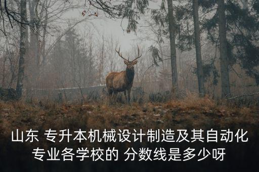山東 專升本機械設計制造及其自動化專業(yè)各學校的 分數(shù)線是多少呀