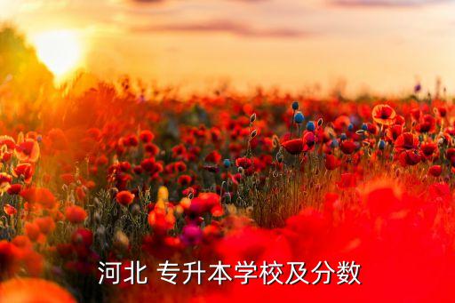  河北 專(zhuān)升本學(xué)校及分?jǐn)?shù)