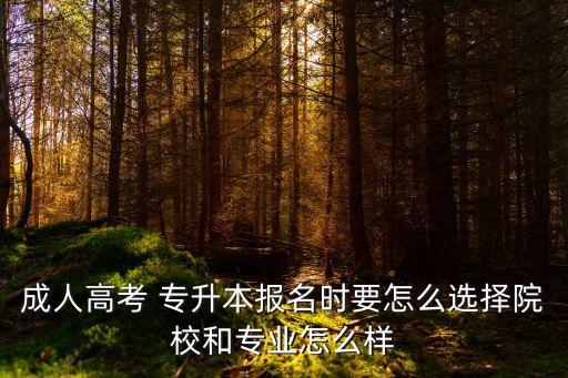 成人高考 專升本報(bào)名時(shí)要怎么選擇院校和專業(yè)怎么樣