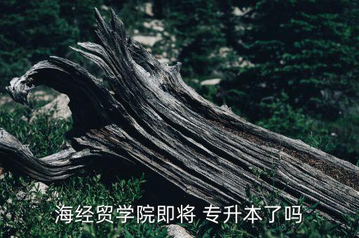 海南有專升本的大學嗎,海南科技職業(yè)大學2022專升本