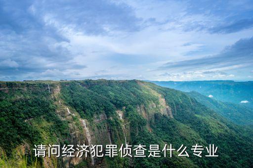 請(qǐng)問(wèn)經(jīng)濟(jì)犯罪偵查是什么專業(yè)