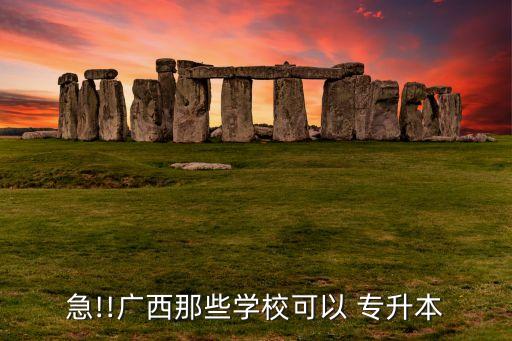 急!!廣西那些學(xué)?？梢?專升本