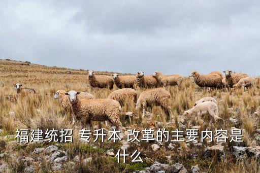福建統(tǒng)招 專(zhuān)升本 改革的主要內(nèi)容是什么