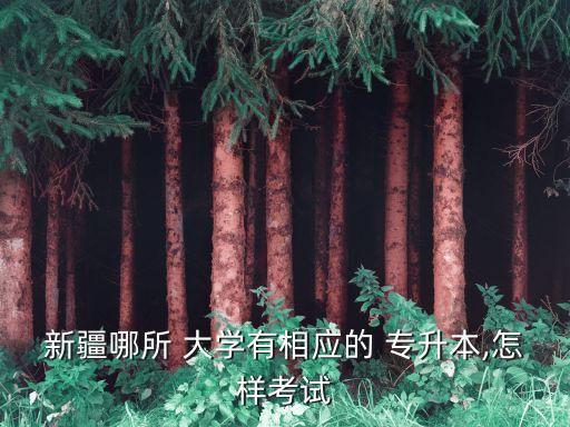 新疆哪所 大學(xué)有相應(yīng)的 專(zhuān)升本,怎樣考試