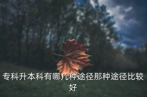 ?？粕究朴心膸追N途徑那種途徑比較好