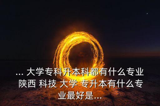... 大學(xué)?？粕究贫加惺裁磳I(yè) 陜西 科技 大學(xué) 專升本有什么專業(yè)最好是...
