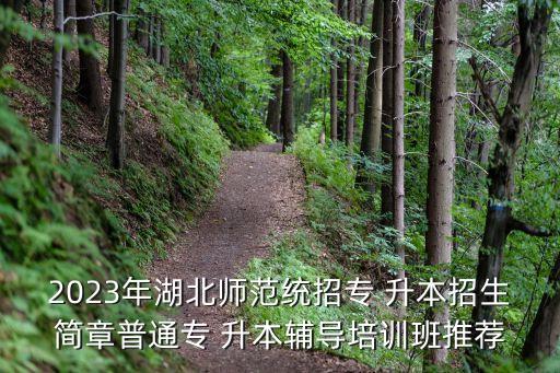 2023年湖北師范統招專 升本招生簡章普通專 升本輔導培訓班推薦