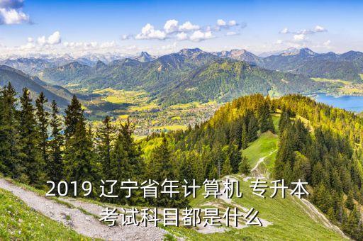 2019 遼寧省年計算機 專升本 考試科目都是什么