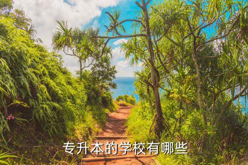  專(zhuān)升本的學(xué)校有哪些