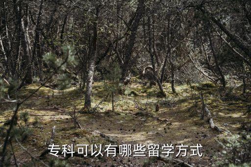英國(guó)專升本專升碩,專升本和專升碩有什么區(qū)別
