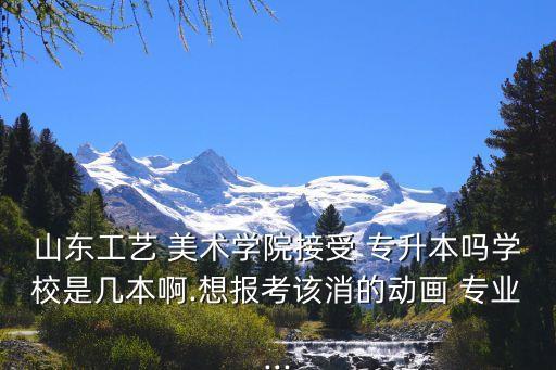 山東工藝 美術(shù)學院接受 專升本嗎學校是幾本啊.想報考該消的動畫 專業(yè)...