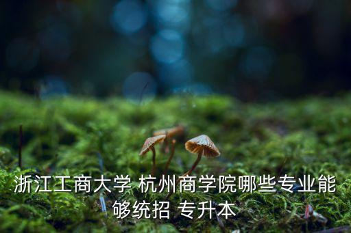 浙江工商大學(xué) 杭州商學(xué)院哪些專(zhuān)業(yè)能夠統(tǒng)招 專(zhuān)升本