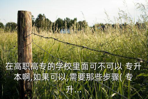 在高職高專的學校里面可不可以 專升本啊,如果可以,需要那些步驟( 專升...