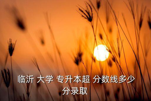臨沂大學(xué)2017專(zhuān)升本分?jǐn)?shù)線,山東專(zhuān)升本臨沂大學(xué)分?jǐn)?shù)線