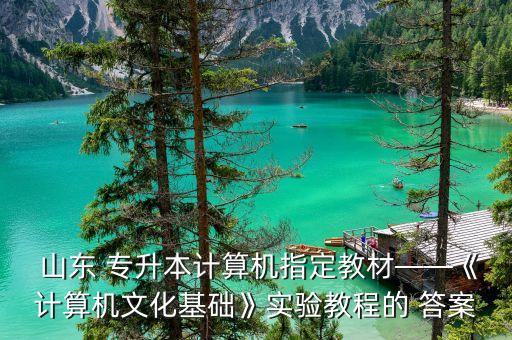  山東 專升本計(jì)算機(jī)指定教材——《計(jì)算機(jī)文化基礎(chǔ)》實(shí)驗(yàn)教程的 答案