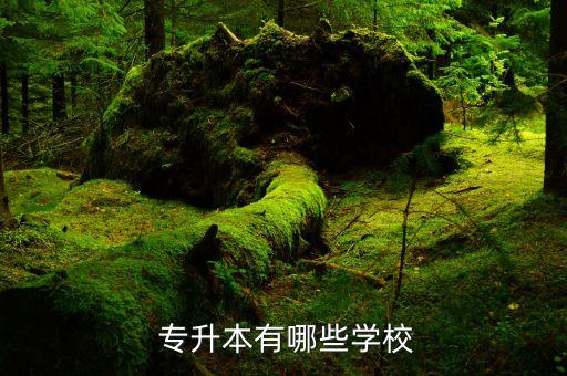  專升本有哪些學校