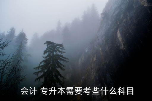 財(cái)務(wù)會(huì)計(jì)專(zhuān)升本考試題