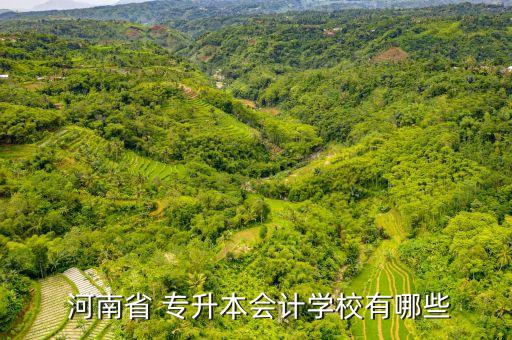  河南省 專(zhuān)升本會(huì)計(jì)學(xué)校有哪些