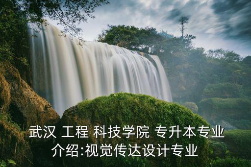  武漢 工程 科技學院 專升本專業(yè)介紹:視覺傳達設(shè)計專業(yè)