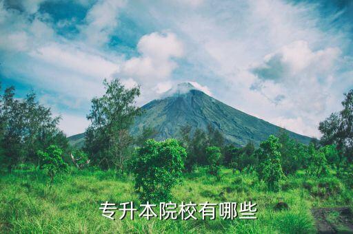  專(zhuān)升本院校有哪些