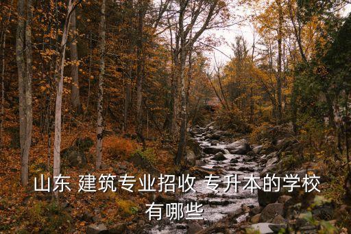  山東 建筑專業(yè)招收 專升本的學(xué)校有哪些