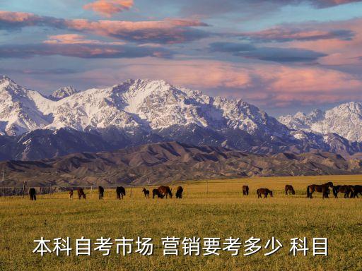 本科自考市場(chǎng) 營(yíng)銷要考多少 科目