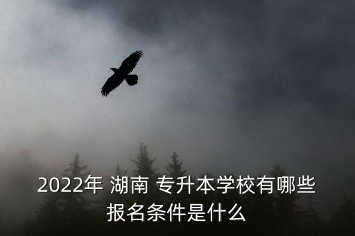 2022年 湖南 專升本學校有哪些報名條件是什么
