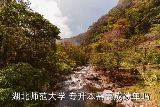  湖北師范大學(xué) 專(zhuān)升本需要成績(jī)單嗎