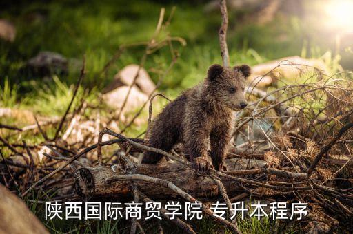 陜西國(guó)際商貿(mào)學(xué)院 專升本程序