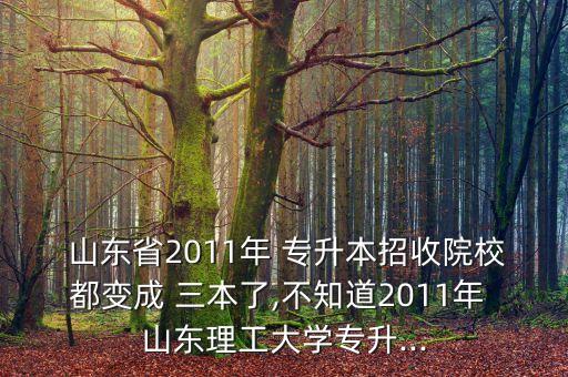 山東專(zhuān)升本全是三本