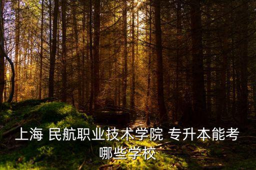上海 民航職業(yè)技術(shù)學(xué)院 專(zhuān)升本能考哪些學(xué)校