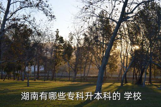  湖南有哪些專科升本科的 學(xué)校