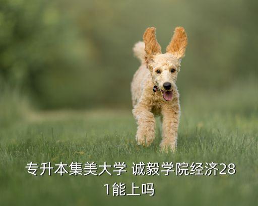  專升本集美大學 誠毅學院經(jīng)濟281能上嗎