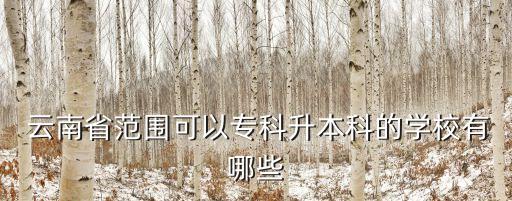  云南省范圍可以?？粕究频膶W(xué)校有哪些